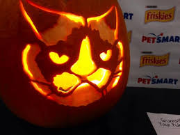 FOX 10 Phoenix på X: "Check out the new Grumpy Cat Jack O Lantern stencil!  http://t.co/KyyZNRzaDy" / X