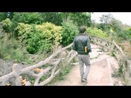 The Avener Phoebe Killdeer Fade Out Lines The Avener Rework Fade Out The Avener Faded Provided to youtube by universal music group fade out lines (the avener rework) · the avener · phoebe killdeer the wanderings of the avener ℗ 2014 96. pinterest