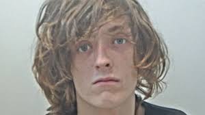 Student was '10 out of 10' drunk as he took part in 'orgy of lawless  behaviour'