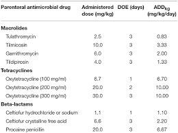 Frontiers Calculation Of Antimicrobial Use Indicators In