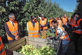 Rsa Travaux Saisonniers Encourager La Reprise D Activite Conseil Departemental De L Aisne