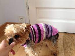 tricoter un manteau pour shih tzu galerie creation petit chien habit coloriage pokemon togepi