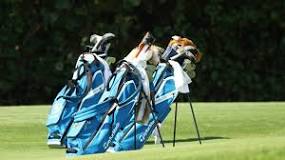 Image result for how much are taylormade golf clubs worth