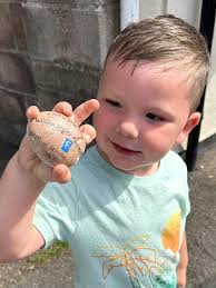 Found this Weston super Rock last week in ashcombe Park. It's now hidden  near Pendeen lighthouse