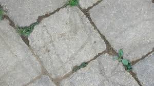 The Best Polymeric Sand For Paver Joints Hp Nextgel
