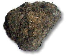 Di colore bruno, aspetto spugnoso ed elevato tenore di acqua, è costituita da è il carbone più pregiato, con il più elevato potere calorifico. Rocce Organogene G M P E