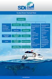 new course descriptions sdi tdi erdi pfi