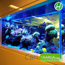 Aquarium air tawar ukuran : Informasi Harga Aquarium Besar Agustus 2021