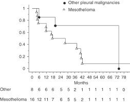 See the survival rate data here. Long Term Results Of Intrathoracic Chemohyperthermia Itch For The Treatment Of Pleural Malignancies British Journal Of Cancer