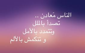 الناس معادن sweet words words neon signs