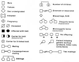 pedigree chart symbols used biology exams u human send104b