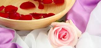 ماء الورد وفوائده موضوع