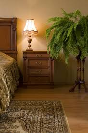 Make your interior space look and feel good with our range of indoor plants. Houseplants Victorian Style Information On Popular Victorian Houseplants