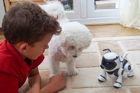 With the teksta app, you can program your puppy to do even more! Teksta Robotic Puppy 5 0 Review Mum In The Madhouse