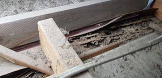 At sound building & pest inspections each team is made up of two building inspectors. Bpi Building And Pest Inspections Brisbane North Home Facebook