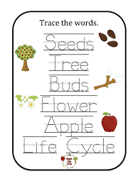 pin stacy clark barton printables grade apple life cycle