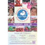 Joanna Sophia Fun Run Walk Around the World 5k