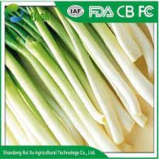 Includes growing tray, coco fiber mats, easy instructions. Fresh Green Onions For Sale China Chinese Onion Fresh Made In China Com