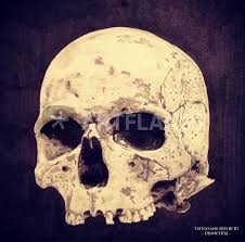 Maybe you would like to learn more about one of these? Realistic Skull Drawing Zeichnung Als Poster Und Kunstdruck Von Julien Holl Bestellen Artflakes Com