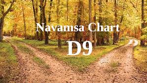 How To Navamsa Chart Free Sidereal Astrology