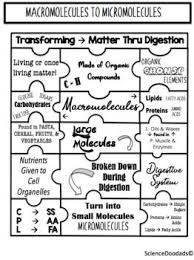 Biochemistry Tests For Food Macromolecules Carbohydrates Macromolecules To Micromolecules Carbohydrates Protein Lipids Digestion Printable Teaching Resources High School Lessons Education Lesson Plans