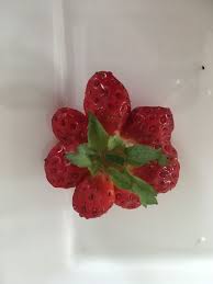 Pin By French Club With Gloria On Alice Et Shawn Je M Appelle Alice Strawberry Food Fruit