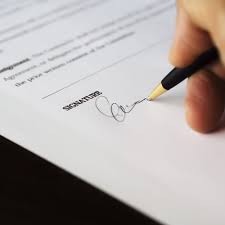 Tên gọi khác là hổ vĩ mép lá vàng hay lưỡi cọp được. Top Law Firm In Malaysia