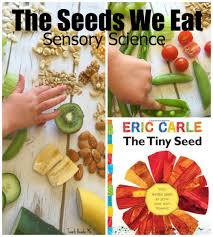You can even make a paper parachutes of similar structure to test out and learn more about air resistance, and of course how plants disperse their seeds. The Seeds We Eat Nature Sensory Science For Kids Great With Eric Carle S Tiny Seed Book