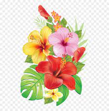 Tropical Floral Png Tropical Flowers Drawing Transparent Png Flower Drawing Hibiscus Flower Drawing Tropical Flowers