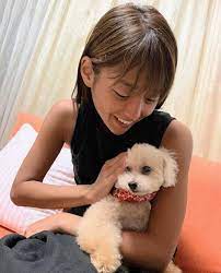 いいね 334件 コメント5件 女子アナ集め beutifulharmony のinstagramアカウント 岡副麻希 女子アナ 犬 わんこ 愛犬 オセロ girl dogs