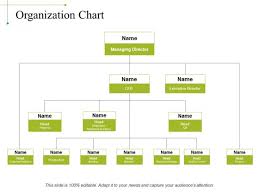 organization chart ppt powerpoint presentation outline