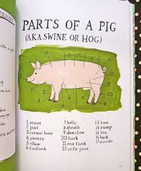 Review Farm Anatomy By Julia Rothman Pikaland Julia Anatomy Rothman