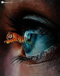 Jahangir Alam Eyeball Art Eyes Artwork Eye Art