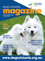 If you have decided to get a german shepherd puppy, then through this video you will know the price of this dog. Dogs Victoria Magazine November 2020 By Dogs Victoria Issuu