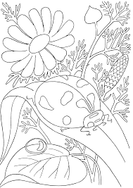 Insects Coloring Pages Pdf Insect Coloring Pages Animal Coloring Pages Spring Coloring Pages
