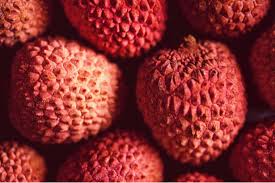 Comment Faire Germer Un Noyau De Litchi Plante D Interieur Puis D Exterieur Corbeille De Fruits Fruits Fruits Exotiques