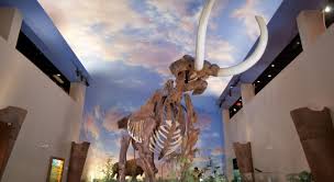 How far is it from bradenton, fl to miami, fl? Bradenton Florida Great Beaches And Family Friendly Activities