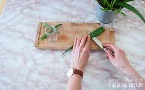 Hier haben sich nochmal alle zutaten auf einem bild versammelt: Schnelle Aloe Vera Creme Selber Machen Fur Trockene Haut