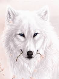 Best them fresh and high quality, super cute images perfect for use as your lock screen or home screen wallpaper. White Wolf Iphone Live Wallpaper Download On Phoneky Ios App