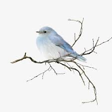 Hand Drawn Simple Bird On Branch Drawing Hand Drawn Birds Bird Drawings Watercolor Bird Birds Painting