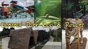 Mar 31, 2021 · harga tiket masuk central park zoo medan. Review Central Park Zoo And Resort 2021 Youtube