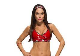 Brie Bella Brie Bella Brie Bella Wwe Nikki Bella Wrestling