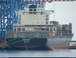 Image result for Ruspolia sp. no. 1 (Biegel 5407)