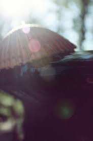 2) place your lens flare video file on top of your video. 30 Lens Flare Fancy Ideas Lens Flare Lens Photography