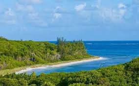 Loker walet jakarta teluk gong. St Vincent Caribbean Wallaboo St Vincent Caribbean Saint Vincent Pirates One Eastern Caribbean Dollar Equals Roughly 0 37