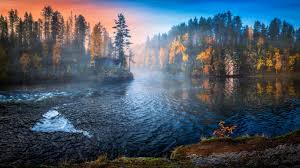 Here you can find the best 2048x1152 gaming wallpapers uploaded by our community. Wallpaper Nature Water Trees Fall 2048x1152 Wallpapermaniac 1540379 Hd Wallpapers Wallhere