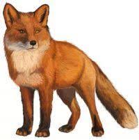 Süße linie symbol fuchs gesicht cartoon malvorlage fuchs fuchs gesicht malvorlage fuchs malen online finden sie eine vielzahl an wunderschönen fuchs malvorlage welche sie einfach und bequem. Pin Auf Tiere Malen Einfach Fuchs