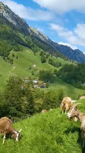 Switzerland Insider Tips You Only Get Here Video In 2020 Schone Natur Naturfotografie Naturbilder