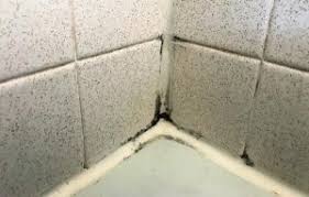 We all know that mold is disgusting, bad for health and, nevertheless, hard to remove sometimes, especially when it gathers on the shower caulking. How To Remove Black Mold In Shower Grout Lines The Mold Insider