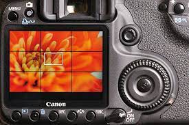 Best Mirrorless Camera 2021 The 18 Best Models On The Planet Digital Camera Photography Macro Photography Macro Photography Tips
